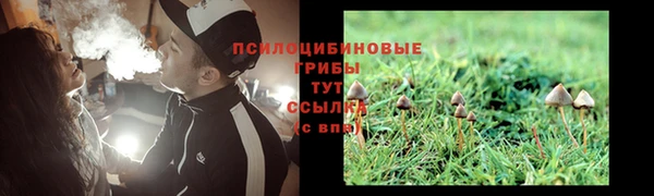 ГАЛЛЮЦИНОГЕННЫЕ ГРИБЫ Володарск